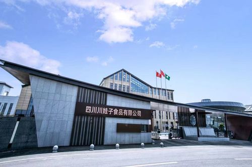 聚焦明星工廠 百位行業(yè)代表齊聚川娃子，共話食品智造新未來(lái)